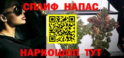 прущие крисы Моздок