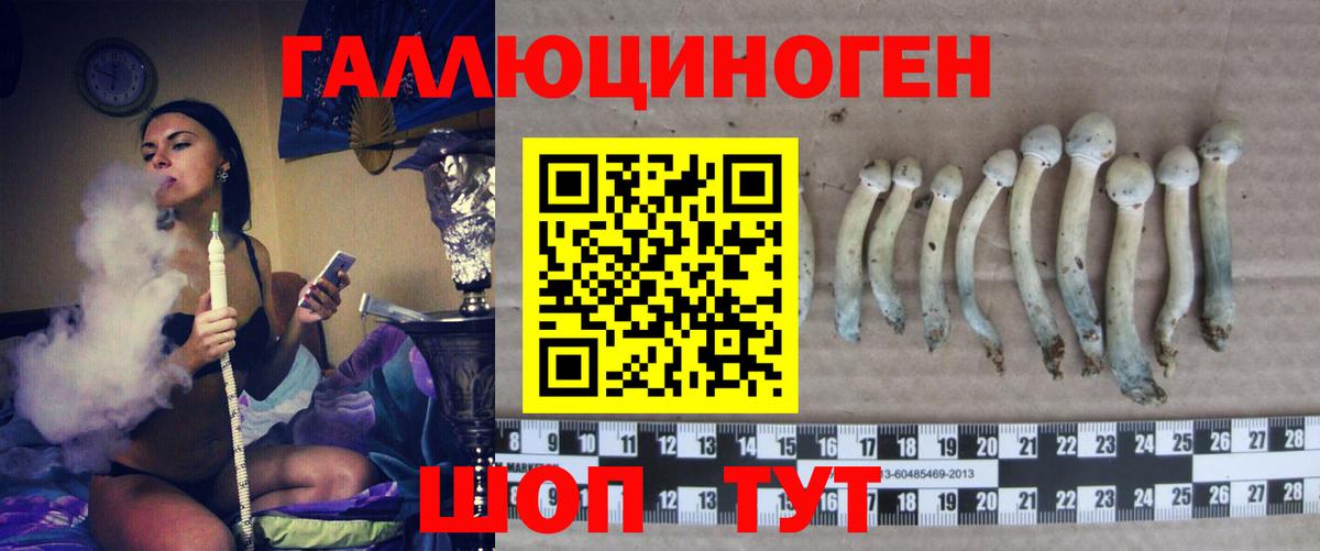 Улан-Удэ  Галлюциногенные грибы Cubensis  сколько стоит  Вход с VPN 